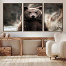 Brown Bear Wall Art Canvas Print – Framed Majestic Woodland