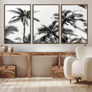 Palm Wall Art Canvas Print – Framed Monochrome Tropical