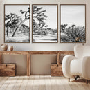 Joshua Tree Wall Art – Black & White Canvas Print, Nature by MyGreatCanvas | Canvas Wall Art Prints | Photo Prints & Wall Decor