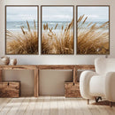 Beach Grass Wall Art – Framed Coastal Dunes Canvas Artwork, by MyGreatCanvas | Canvas Wall Art Prints | Photo Prints & Wall Decor