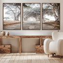 Cypress Tunnel Wall Art – Framed Misty Road Canvas Artwork, by MyGreatCanvas | Canvas Wall Art Prints | Photo Prints & Wall Decor