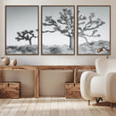 Joshua Tree Wall Art Canvas Print – Framed Black White