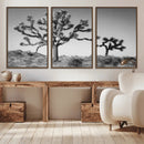 Joshua Tree Wall Art Canvas Print – Framed Monochrome Desert