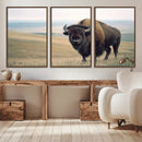 Bison Wall Art Canvas Print – Framed Buffalo American Bison