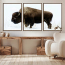 Bison Wall Art Canvas Print – Framed Western Wildlife