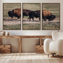 Bison Wall Art Canvas Print – Framed Western Wildlife Modern by MyGreatCanvas | Canvas Wall Art Prints | Photo Prints & Wall Decor
