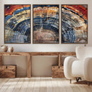 Tree Rings Wall Art Canvas Print – Framed Wood Art Picture by MyGreatCanvas | Canvas Wall Art Prints | Photo Prints & Wall Decor