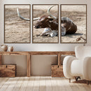 Texas Longhorn Wall Art Canvas Print – Framed Country Living