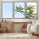 Palm Trees Wall Art Canvas Print – Framed Tropical Coastal
