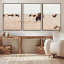 Bison Herd Wall Art Canvas Print – Framed Western Prairie