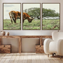 Texas Longhorn Wall Art Canvas Print – Rustic Western Ranch by MyGreatCanvas | Canvas Wall Art Prints | Photo Prints & Wall Decor