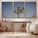 Joshua Tree Wall Art Canvas Print – Framed Southwestern