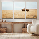 Buffalo Wall Art Canvas Print – Framed Western Wildlife by MyGreatCanvas | Canvas Wall Art Prints | Photo Prints & Wall Decor