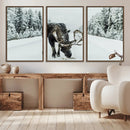 Moose Snow Wall Art Canvas Print – Framed Winter Wildlife