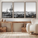 Saguaro Cactus Wall Art Canvas Print – Framed Monochrome