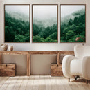 Misty Green Forest Canvas Print – Framed Serene Foggy Pine