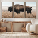 American Bison Wall Art Canvas Print – Majestic Buffalo