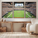 Chicago Bears Soldiers Field Wall Art Canvas Print – Framed