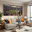 Chicago Bears Soldiers Field Wall Art Canvas Print – Framed