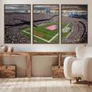 Chicago Bears Soldiers Field Wall Art Canvas Print – Framed
