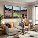 Chicago Bears Soldiers Field Wall Art Canvas Print – Framed