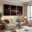 William Brice Stadium Wall Art Print – Baseball Game Room