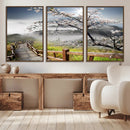 Sakura Cherry Blossom Pathway Canvas Wall Art – Tranquil