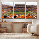 Tennessee Neyland Stadium Wall Art, Sports Arena Canvas by MyGreatCanvas | Canvas Wall Art Prints | Photo Prints & Wall Decor