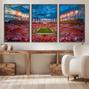 Tennessee Neyland Stadium Wall Art, Sports Arena Canvas by MyGreatCanvas | Canvas Wall Art Prints | Photo Prints & Wall Decor