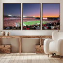 Dooley Stadium Wall Art, Sports Arena Canvas Print, Dooley by MyGreatCanvas | Canvas Wall Art Prints | Photo Prints & Wall Decor