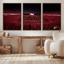 Dooley Stadium Wall Art, Sports Arena Canvas Print, Dooley by MyGreatCanvas | Canvas Wall Art Prints | Photo Prints & Wall Decor