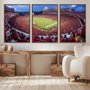 Dooley Stadium Wall Art, Sports Arena Canvas Print, Dooley by MyGreatCanvas | Canvas Wall Art Prints | Photo Prints & Wall Decor