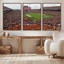 Jordan-Hare Stadium Wall Art Canvas Print, College Sports by MyGreatCanvas | Canvas Wall Art Prints | Photo Prints & Wall Decor