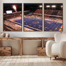 Boise State Broncos Albertsons Stadium Wall Art Canvas Print by MyGreatCanvas | Canvas Wall Art Prints | Photo Prints & Wall Decor