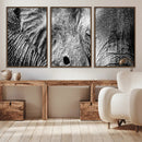 Wild Old Elephant Wall Art Canvas Print