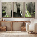 Wild Elephant Wall Art Canvas Print by MyGreatCanvas | Canvas Wall Art Prints | Photo Prints & Wall Decor