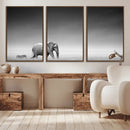 Elephand and Zebra Wall Art Canvas Print, Modern Artwork