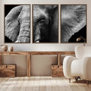 Big Elephant Close Up Wall Art Canvas Print