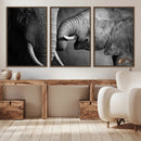 Elephant Family Wall Art Canvas, Framed Elephant Family by MyGreatCanvas | Canvas Wall Art Prints | Photo Prints & Wall Decor