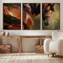 Majestic Brown Horse Wall Art Canvas Print – Framed