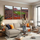 Auburn Stadium Wall Art Canvas Print, Jordan Hare Stadium