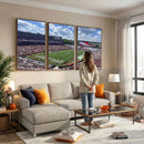 Georgia Bulldogs Stadium Wall Art Canvas Print, Sanford
