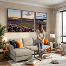Donald W. Reynolds Razorback Stadium Wall Art Canvas Print –