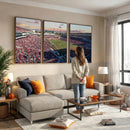 Donald W. Reynolds Razorback Stadium Wall Art Canvas Print –