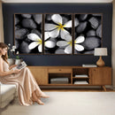 Plumeria Frangipani Black Stone Canvas | White Flower Spa by MyGreatCanvas | Canvas Wall Art Prints | Photo Prints & Wall Decor