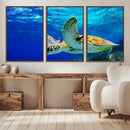Sea Turtle Wall Art Canvas Print, Sea life in the Ocean Wall