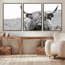 Newfoundland Cow Art Wall Art, Black White Cow Art Wall Art