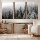 Big Foggy Forest and Misty Trees Forest Wall Art Canvas by MyGreatCanvas | Canvas Wall Art Prints | Photo Prints & Wall Decor