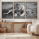 King Forest Lion Wall Art Canvas Print – Framed Majestic by MyGreatCanvas | Canvas Wall Art Prints | Photo Prints & Wall Decor