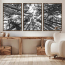 Trees Contemporary Art Canvas Print by MyGreatCanvas | Canvas Wall Art Prints | Photo Prints & Wall Decor